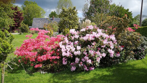 Un jardin où s ’épanouissent des fleurs roses et blanches, une pelouse bien entretenue et, au fond, une maison avec un toit recouvert de tuiles.