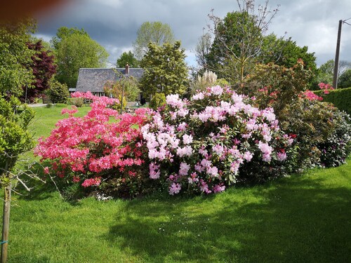 "Bliss 59" - Beautiful Chalet with Garden