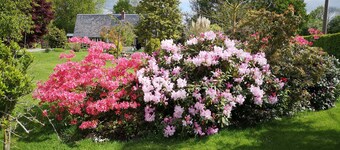 「ブリス59」-庭のある美しいシャレー 