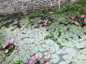 Property grounds - Tam Coc Hung Anh Homestay – Hostel (Hoa Lu)