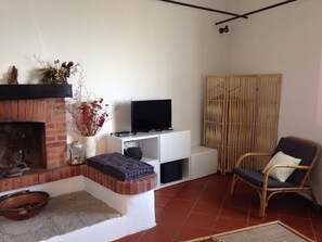 Télévision, cheminée, livres