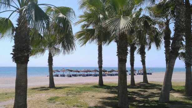 A beach with palm trees and beach umbrellas. - Apartment with terrace just 250 m from the beach (Torre Del Mar)