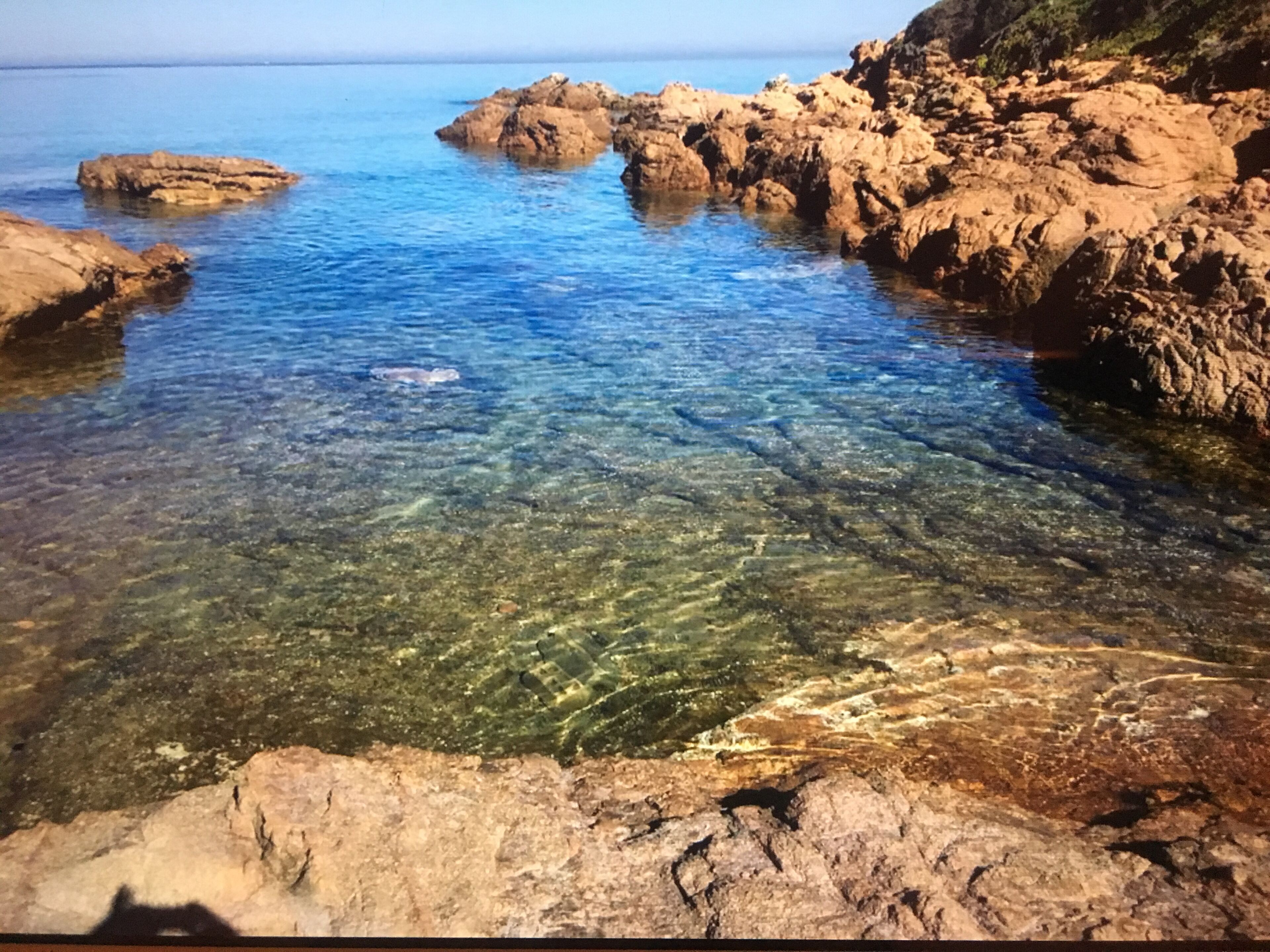海灘