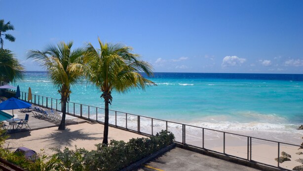 A beach view with palm trees, a pool area, and a clear blue sky. -  Sunset Beach - Ocean front with stunning sea views, WI-FI, AC. (Oistins)