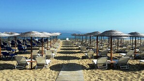 Playa en los alrededores y camastros 