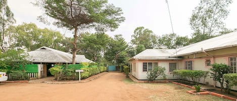 A residential area with two houses, a dirt road, and surrounding greenery.