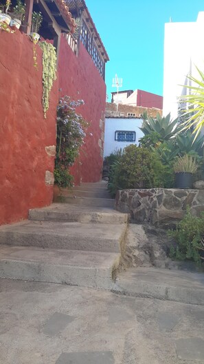 Property grounds - Canary House: Relaxation for everyone (Ingenio)