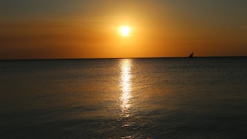 Playa en los alrededores, buceo y snorkel