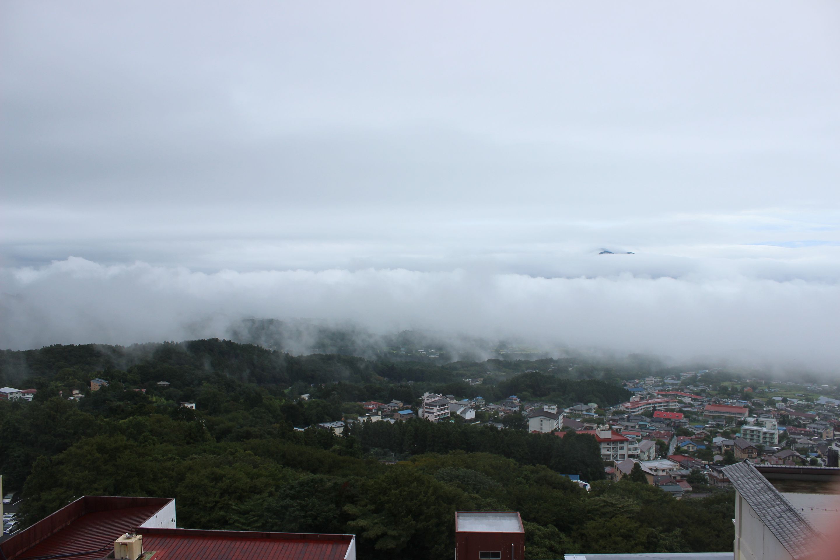 A town nestled in a valley with buildings surrounded by dense forest and clouds above.