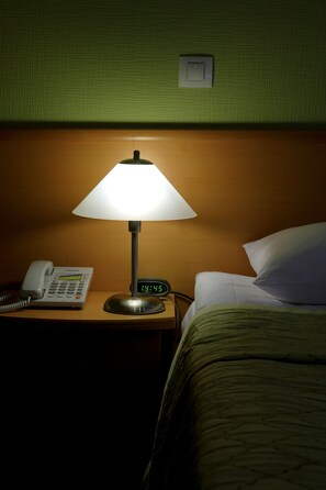 Standard Double or Twin Room | Premium bedding, minibar, in-room safe, desk - Hotel Victoria (Kharkiv)