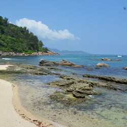 Pemandangan dari hartanah