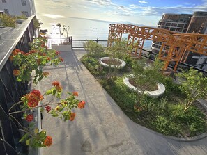 Un jardin sur le toit, agrémenté de plantes et d’une structure métallique décorative.