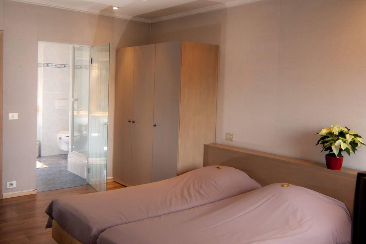 Basic Double Room, 2 Twin Beds | Desk, WiFi (free), bed sheets