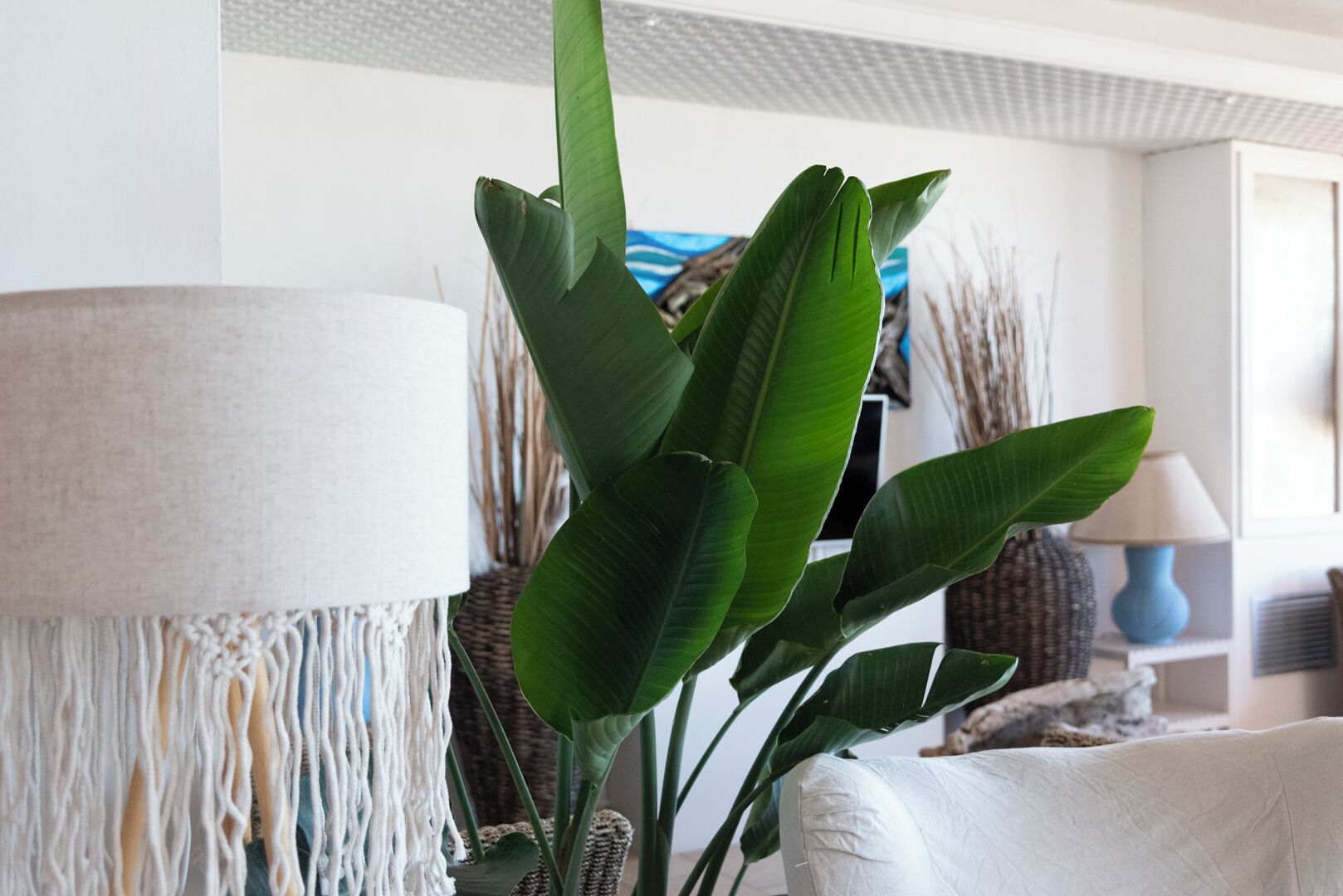 Foto - Hotel Giorgetti Orange