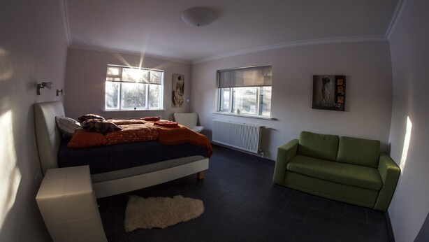 Une chambre à coucher avec un lit, un canapé vert et deux fenêtres.