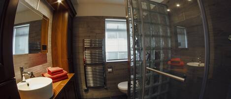 Shower, hair dryer, towels