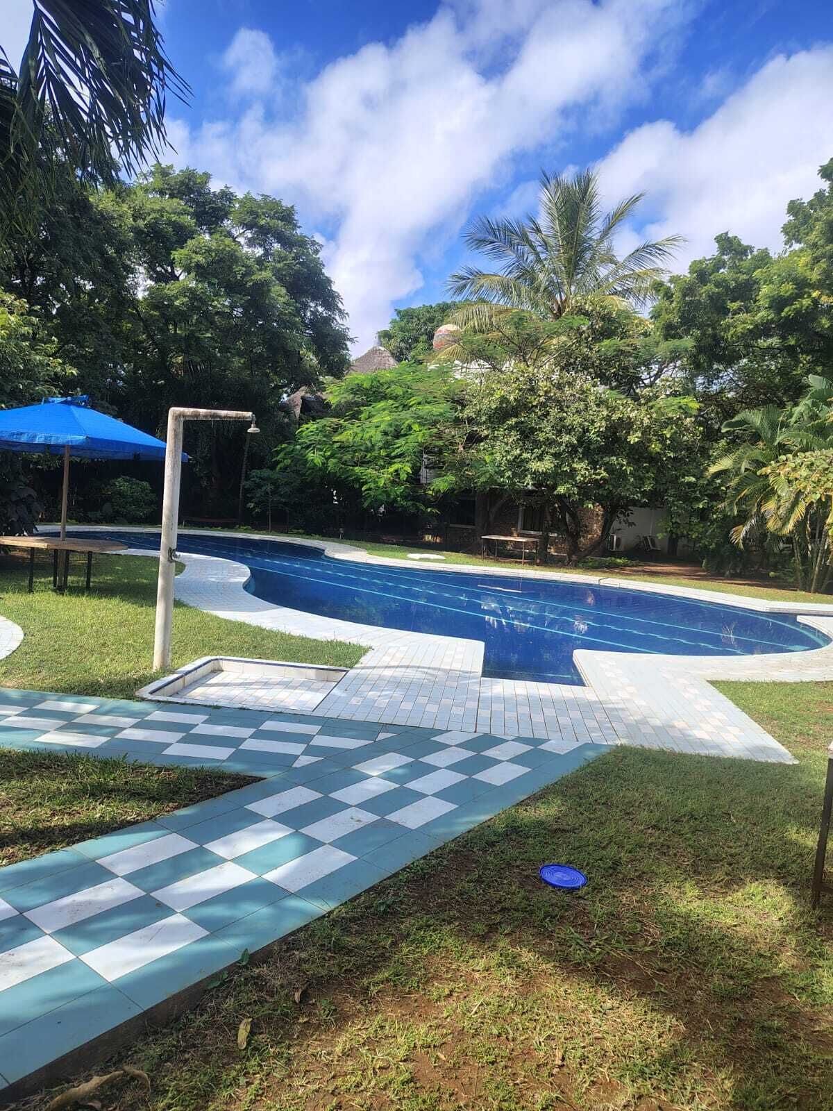 Una piscina con un sendero a cuadros que la lleva a ella, rodeada de exuberante vegetación y un cielo azul despejado.