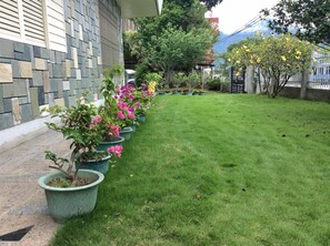 View from property - Yuan Zhong Yuan B&B (Luye)