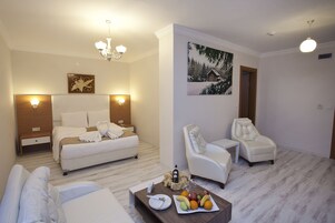 Minibar, in-room safe, desk, free WiFi