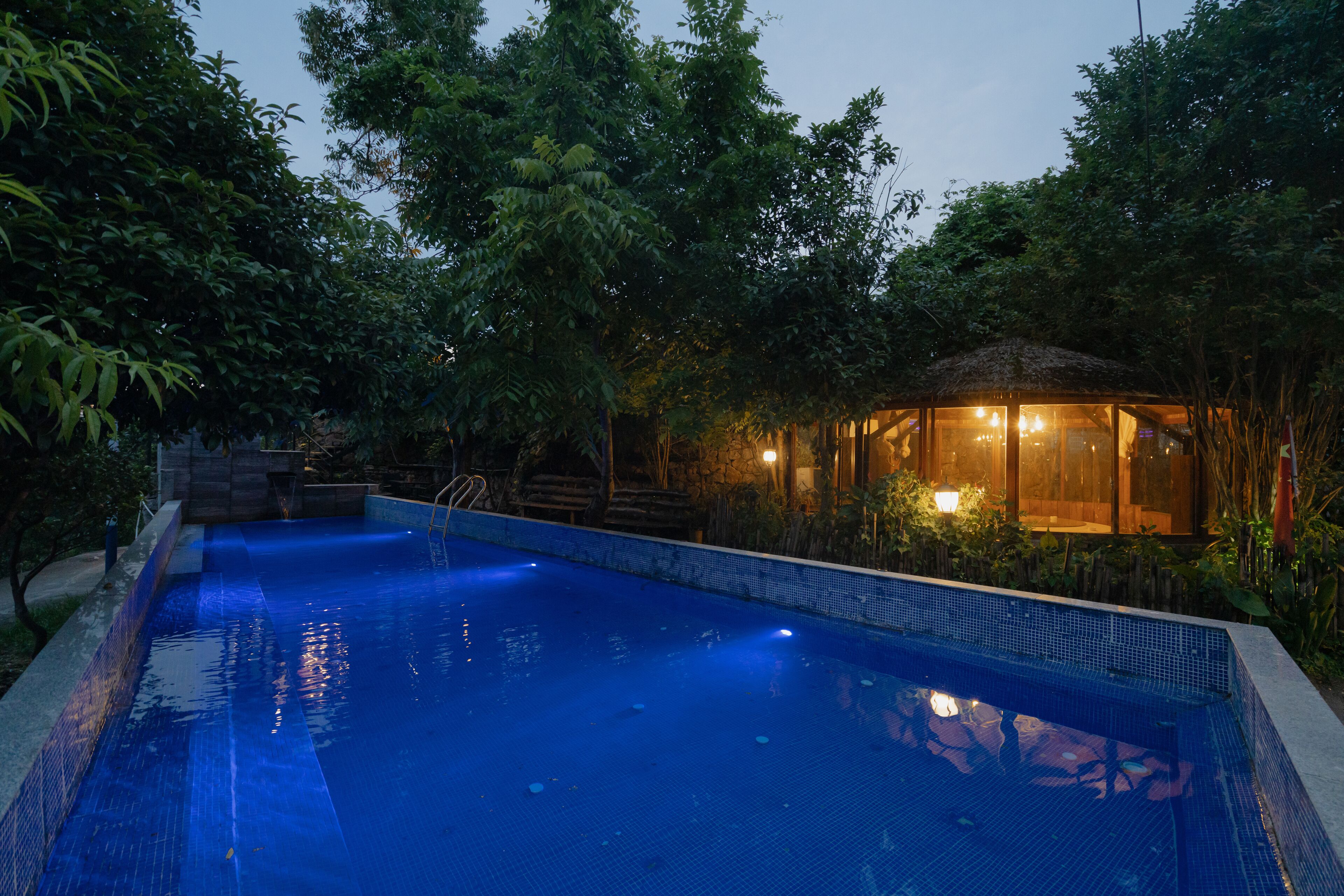 Une piscine dotée d’une enceinte en verre et d’une structure à toit de chaume, le tout entouré d’une végétation luxuriante.
