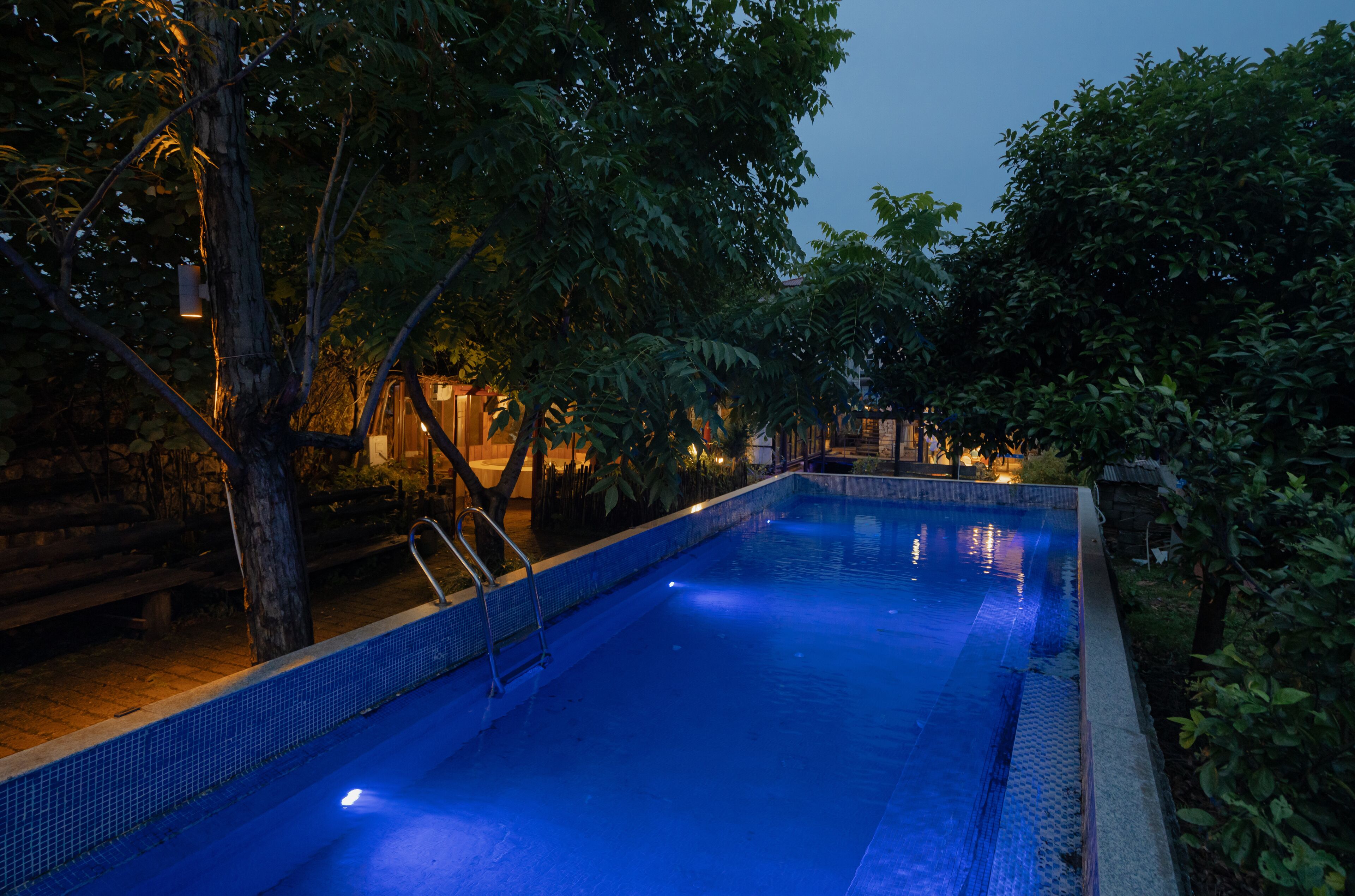 Una piscina circondata da alberi e un muro in pietra, con una scala che scende nell'acqua.