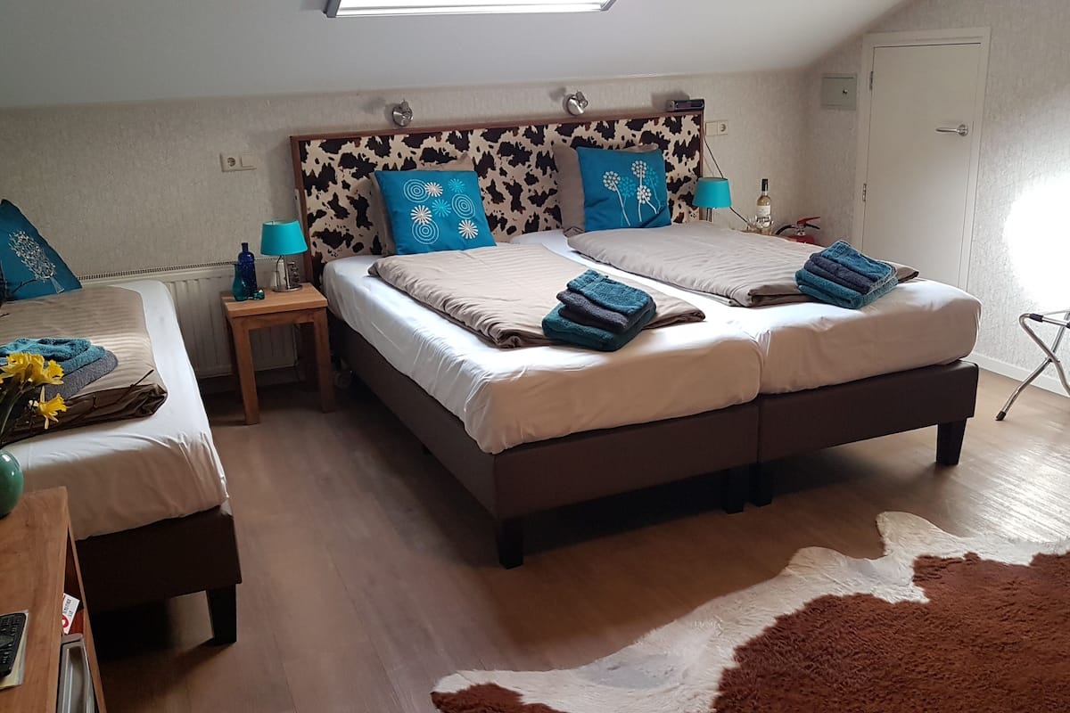Habitación familiar, 2 camas individuales, para no fumadores (Blaarkop) | Artículos del minibar gratis y caja de seguridad en la habitación