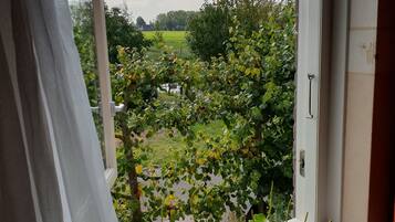 Una ventana con vista a un jardín y una puerta blanca.