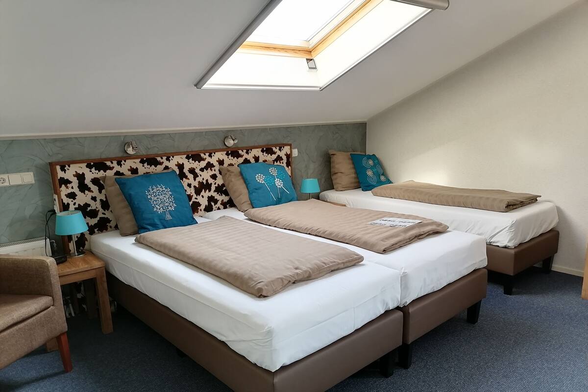 A hotel room with a skylight, two beds with matching headboards, and a small seating area.