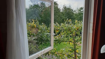 Family Room, 2 Single Beds (Lakenvelder) | View from room