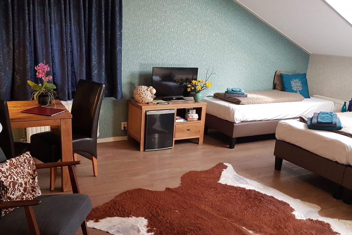 A hotel room with a desk, chair, television, bed, and a cowhide rug.