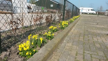 A paved pathway alongside a chain-link fence with yellow flowers and a white vehicle in the background.
