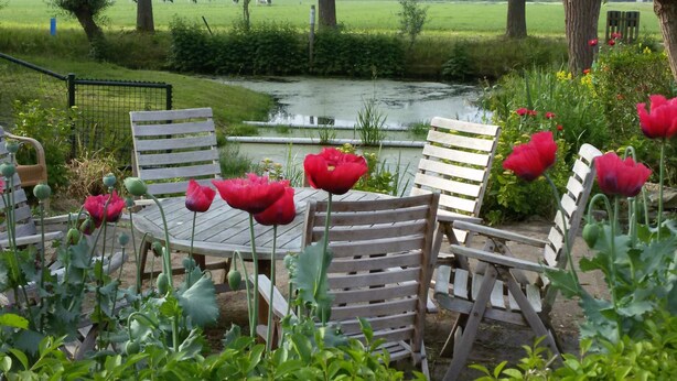 A garden with a pond, wooden chairs, and red flowers. - Boerderij Hazenveld (Kockengen)