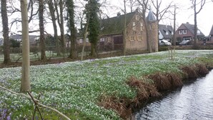 A canal with a row of houses on one side and a field of white and purple flowers on the other. - Boerderij Hazenveld (Kockengen)