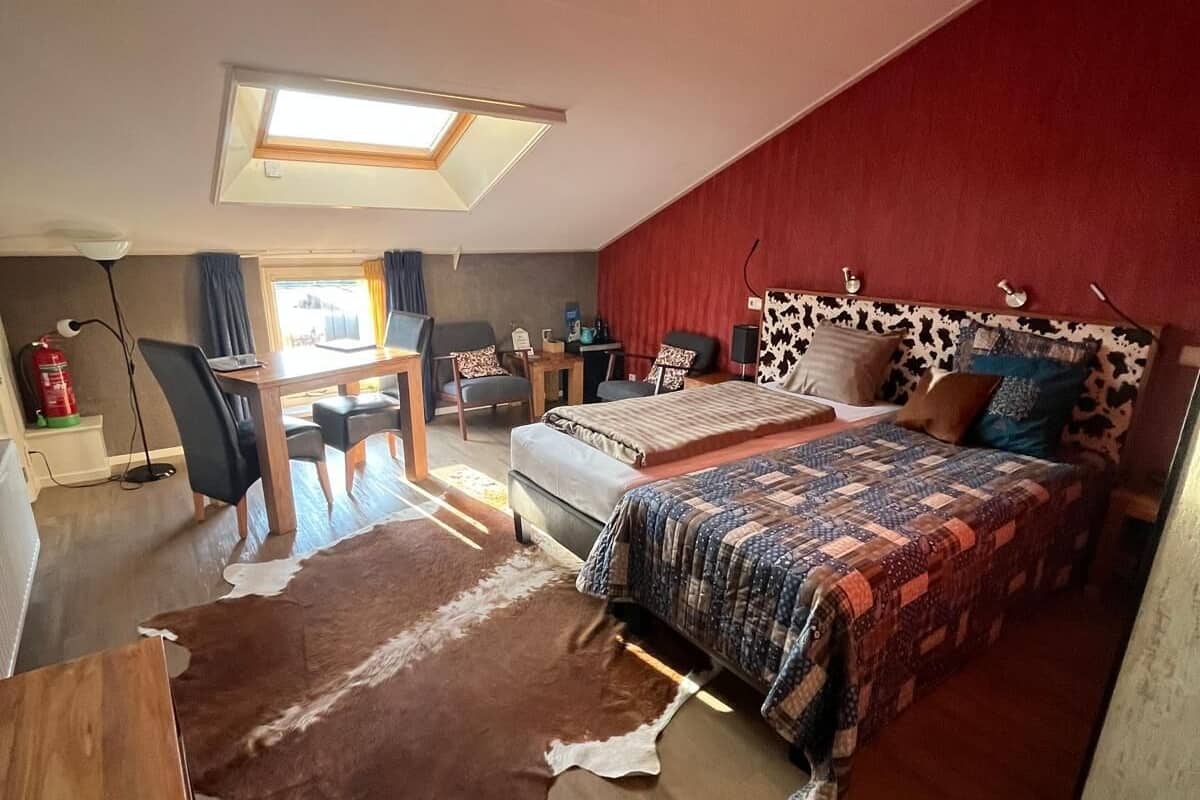 A bedroom with a skylight, a bed with a patterned headboard, a desk, chairs, and a cowhide rug.