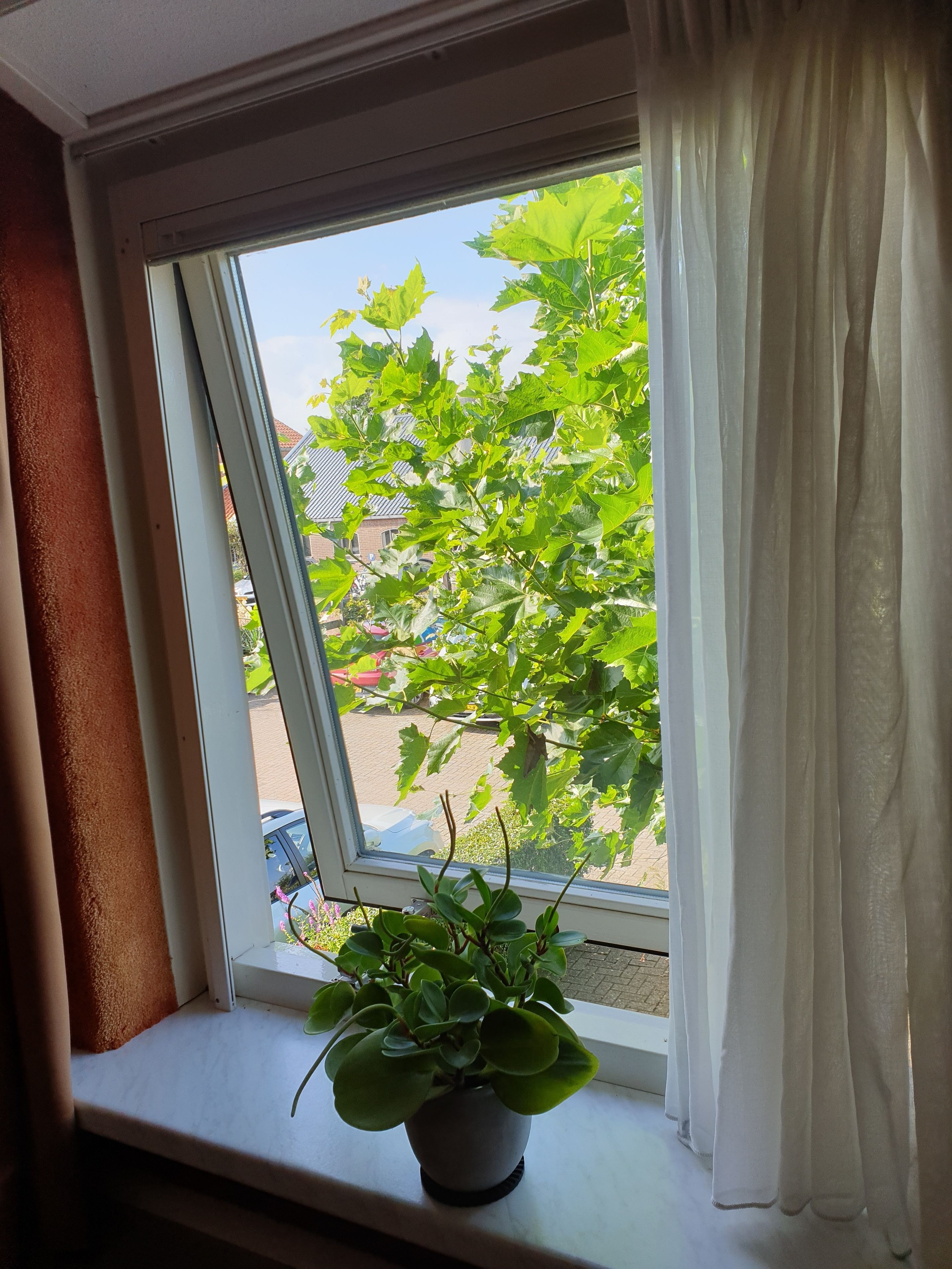 Comfort Double Room, 2 Single Beds (witrik) | View from room