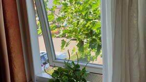 A window with a potted plant on the sill, a view of a building, and a curtain partially drawn to the side. - Boerderij Hazenveld (Kockengen)