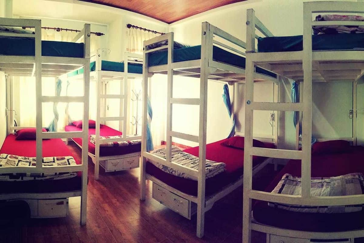 Bed in 8-Bed Mixed Dorm | WiFi (free)
