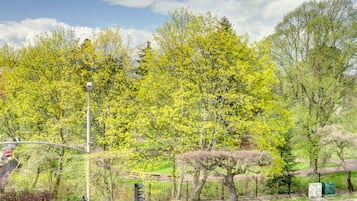 A park with trees, a traffic light, and a bench.