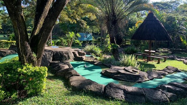 A tropical garden with a pond, rocks, and a thatched-roof structure. - Brookside Lodge B&B (Matsapha)