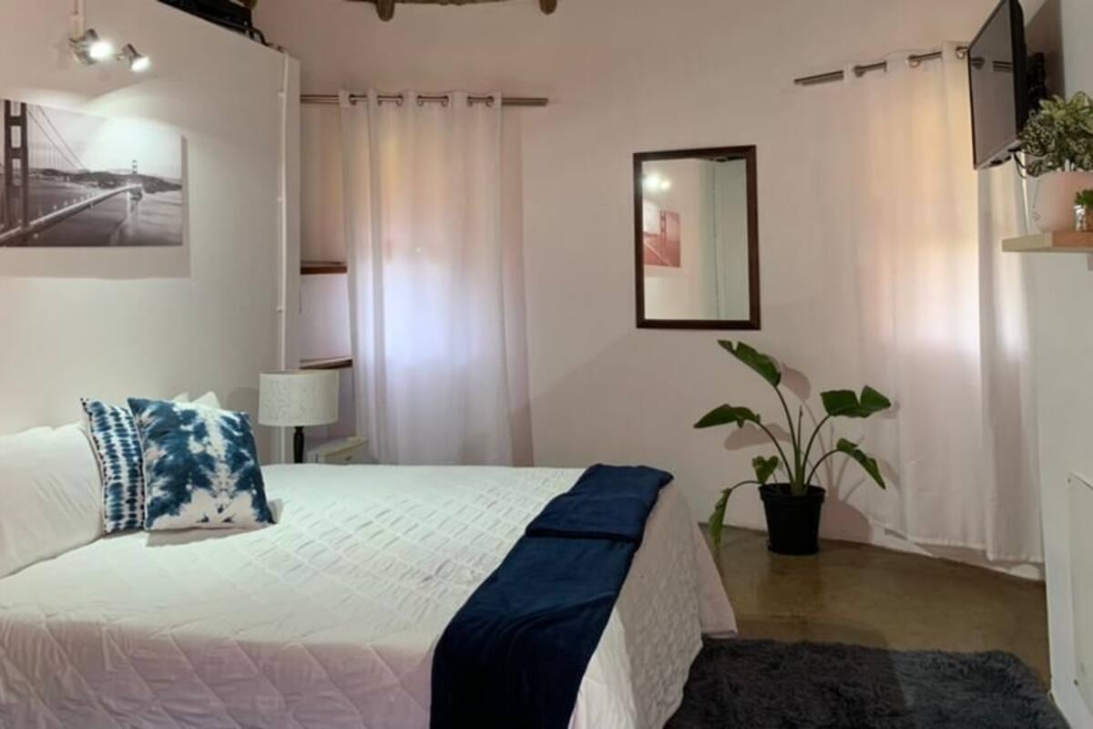 Un dormitorio con cama, mesita de noche, lámpara, planta en maceta, espejo y televisor instalado en la pared.