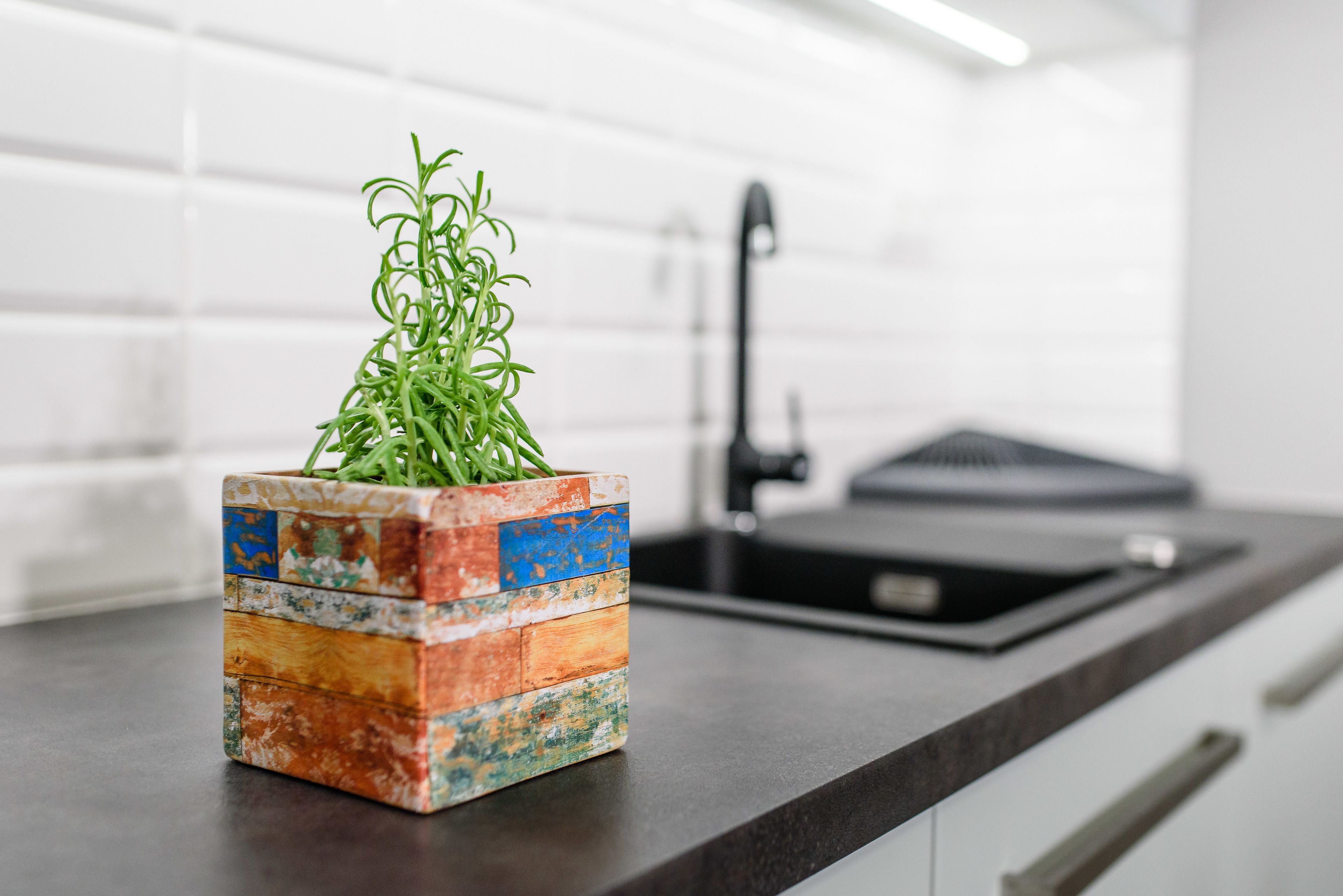 Un pot de fleurs rustique, aux couleurs variées, contenant des plantes vertes, posé sur un comptoir de cuisine.