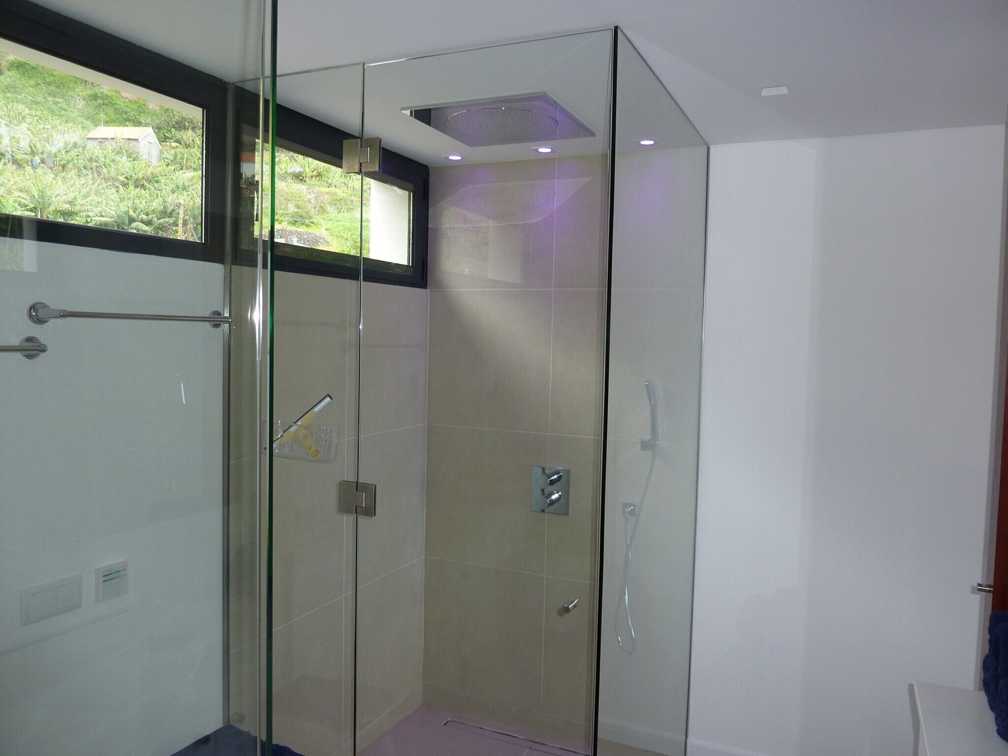 A glass-enclosed shower with a control panel, a towel rack, and a view of greenery outside.