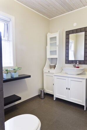 A bathroom with a white toilet, a sink with a mirror, and two potted plants on a shelf.
