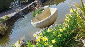 Ein Garten mit Teich, gelben Blumen und einem Steinpflanzgefäß.
