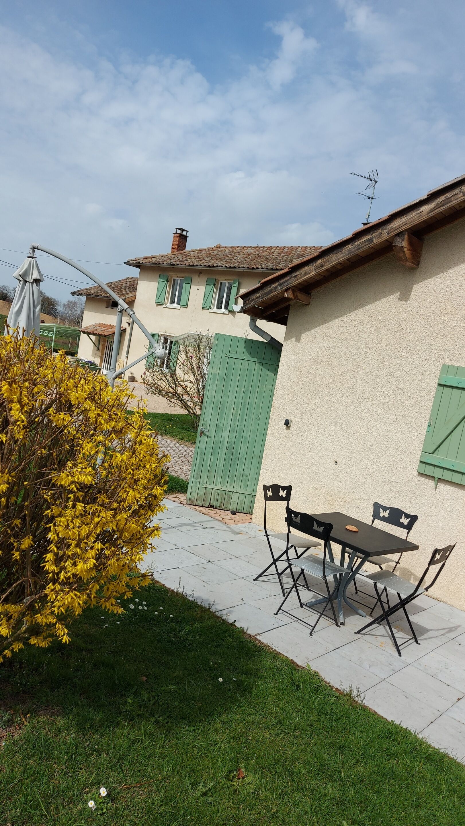 A patio area with a table and chairs, a green gate, and a yellow flowering bush.