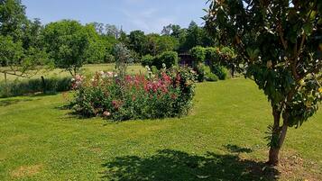 A well-maintained grassy area with a small tree and a flower bed.