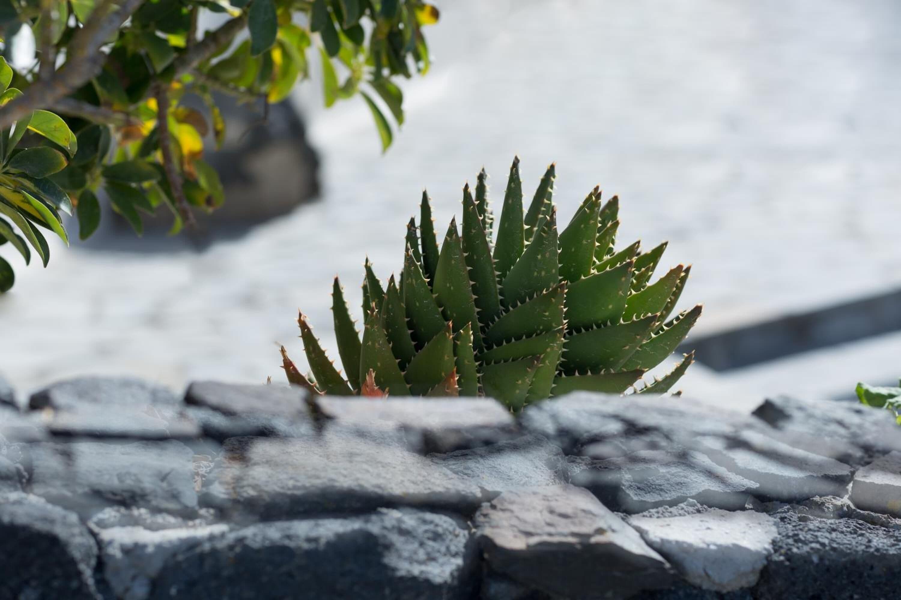 Foto - Anchor Suites