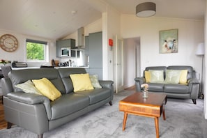 Flat-screen TV, fireplace