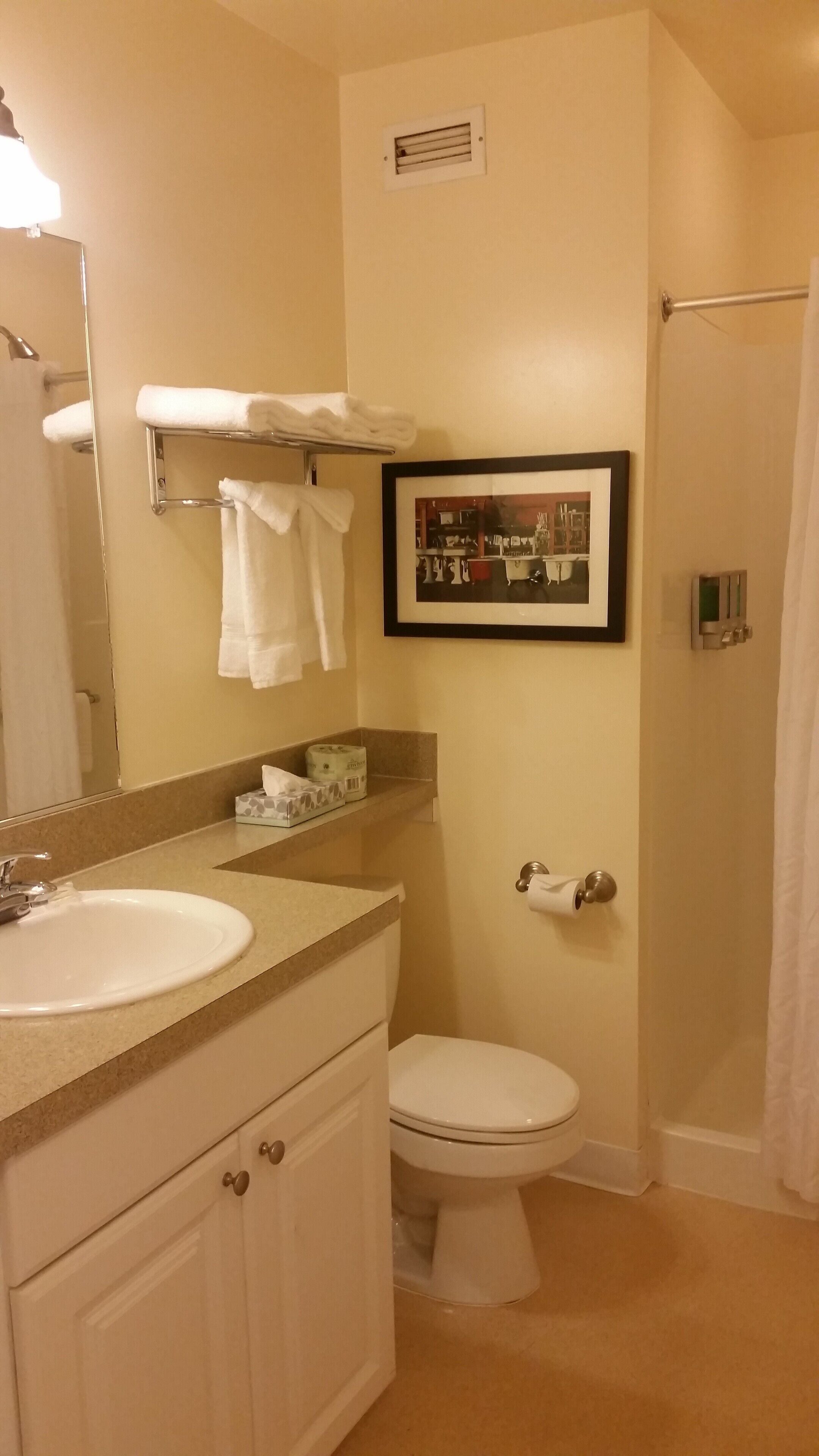 Studio, 1 grand lit, non-fumeur | Salle de bain | Douche, serviettes fournies