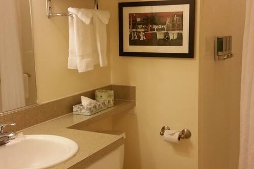 Studio, 1 grand lit, non-fumeur | Salle de bain | Douche, serviettes fournies